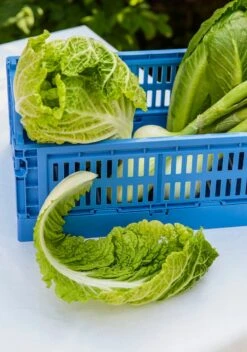 HAY Colour Crate, S, Plastique Recyclé, Bleu électrique 11 HAY Colour Crate, S, Plastique Recyclé, Bleu électrique -Hay Magasin FDS5ruoka