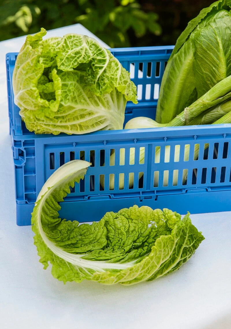 HAY Colour Crate, S, Plastique Recyclé, Bleu électrique 6 HAY Colour Crate, S, Plastique Recyclé, Bleu électrique – Image 6